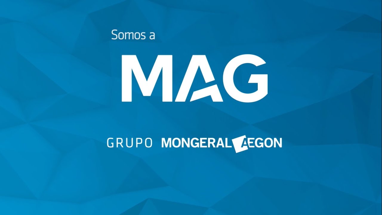 Asistente de ventas, ejecutivo de cuentas de ventas, asistente de oficina, gerente y más en MAG Company