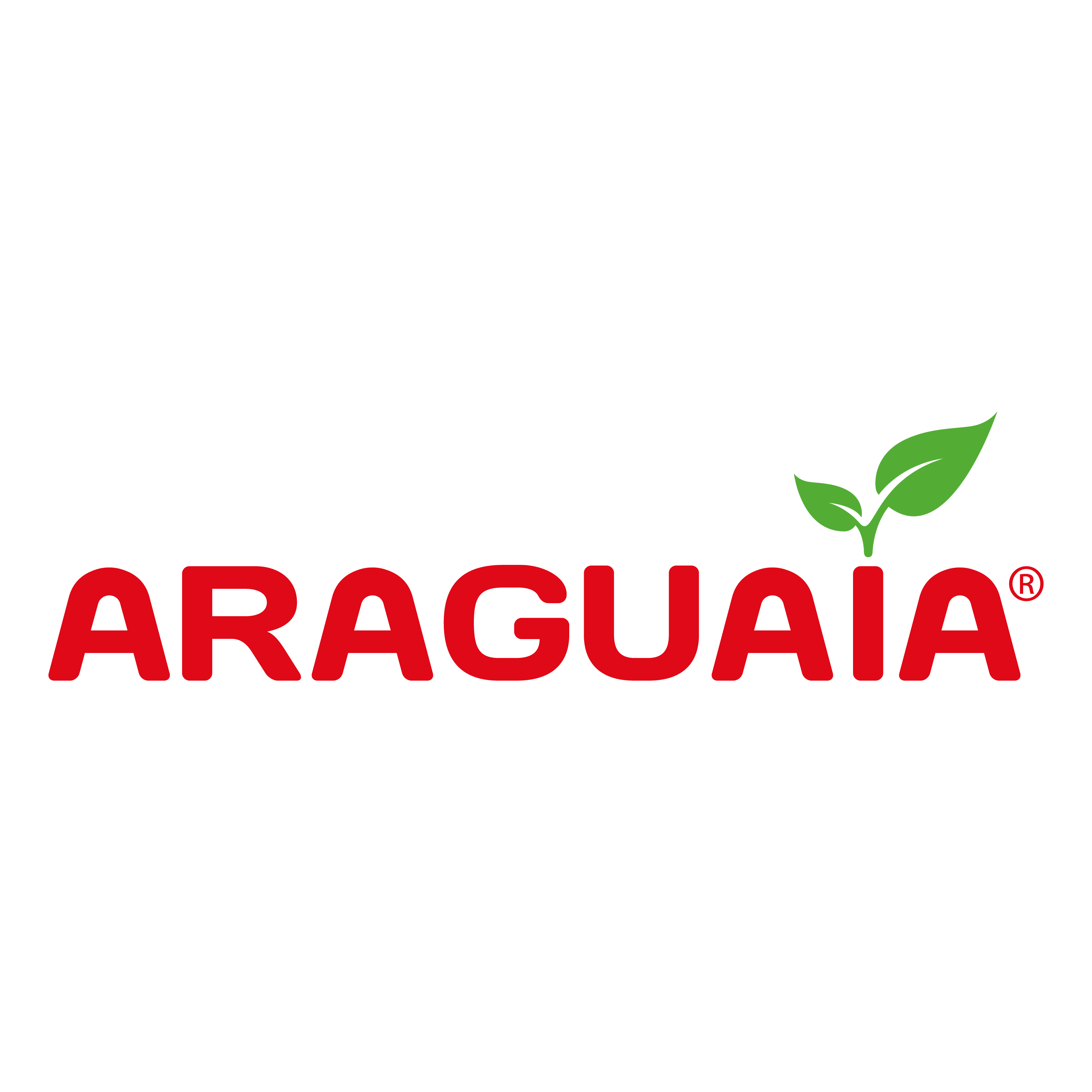 Operario de Producción, Promotor de Ventas, Técnico de Seguridad Laboral, Mecánico, Auxiliar Administrativo y mucho más en la empresa Araguaia.