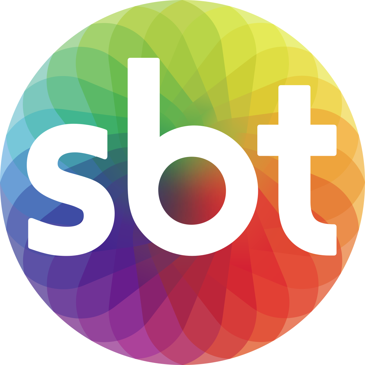 Analistas, Chambelanes, Carpinteros, Operadores de Cámara, Aprendices y mucho más en SBT Company